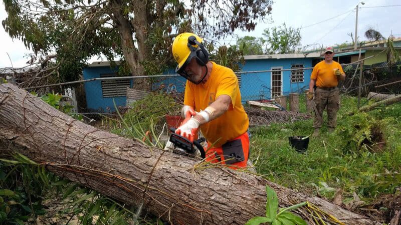 Chainsaw work