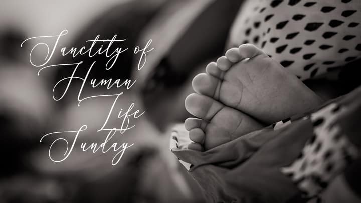 Sanctity of Human Life Sunday graphic