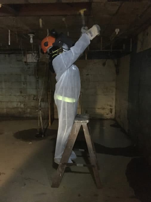 Mud out in flooded basement