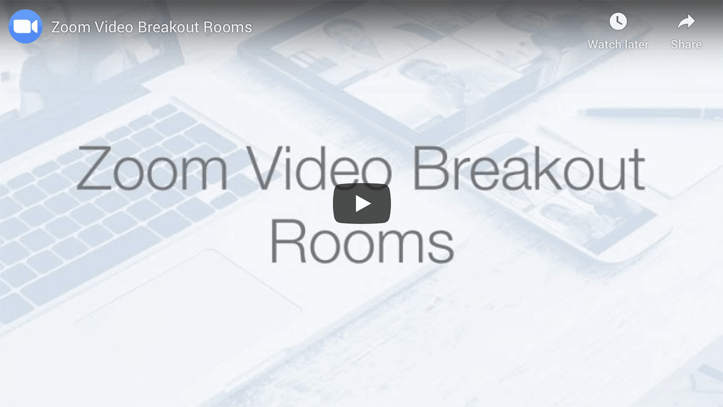 Screen grab of Zoom Video Breakout Room video