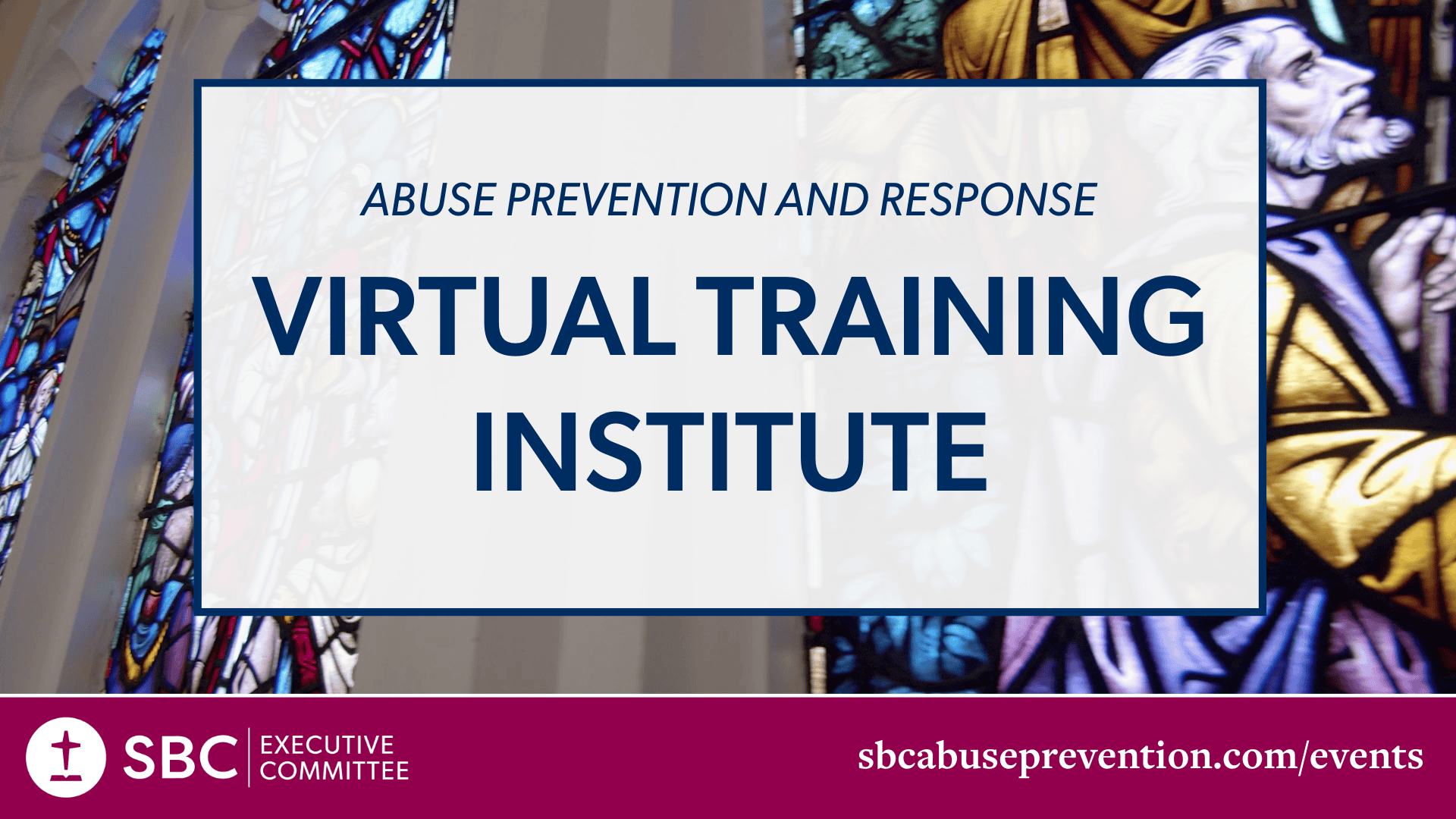 Virtual Training Institute image-1-General